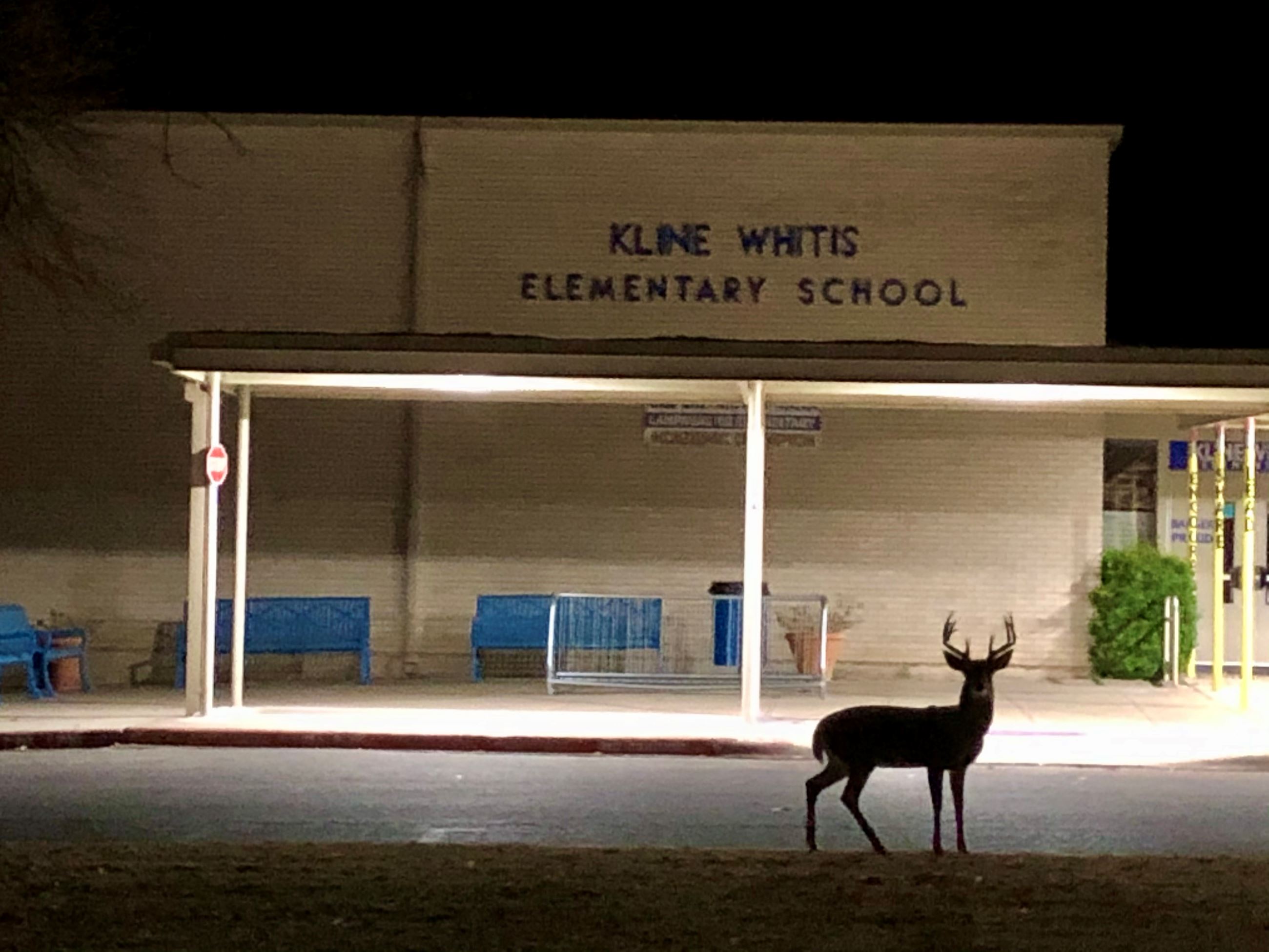 December 2020 Photo Winner 